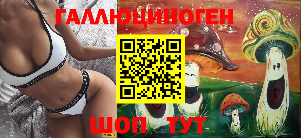 Псилоцибиновые грибы Cubensis Краснокаменск